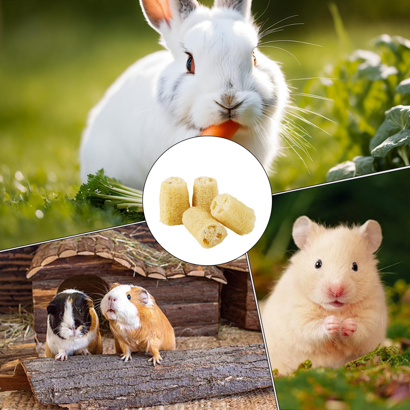 Pet Supplies Pet Shop - Жевательные игрушки для кроликов, 4 шт.,