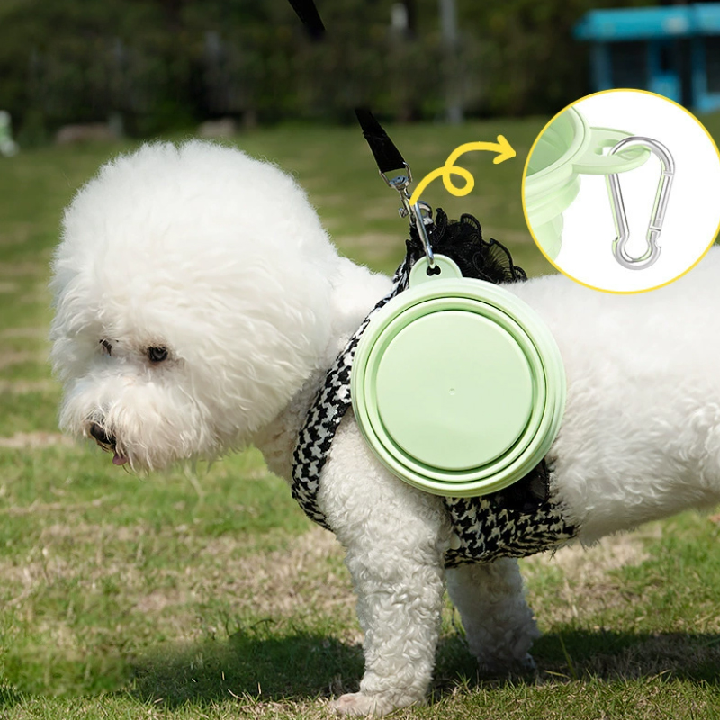 Цветные товары для домашних жи – обзор и цена Pet Supplies Dog Food