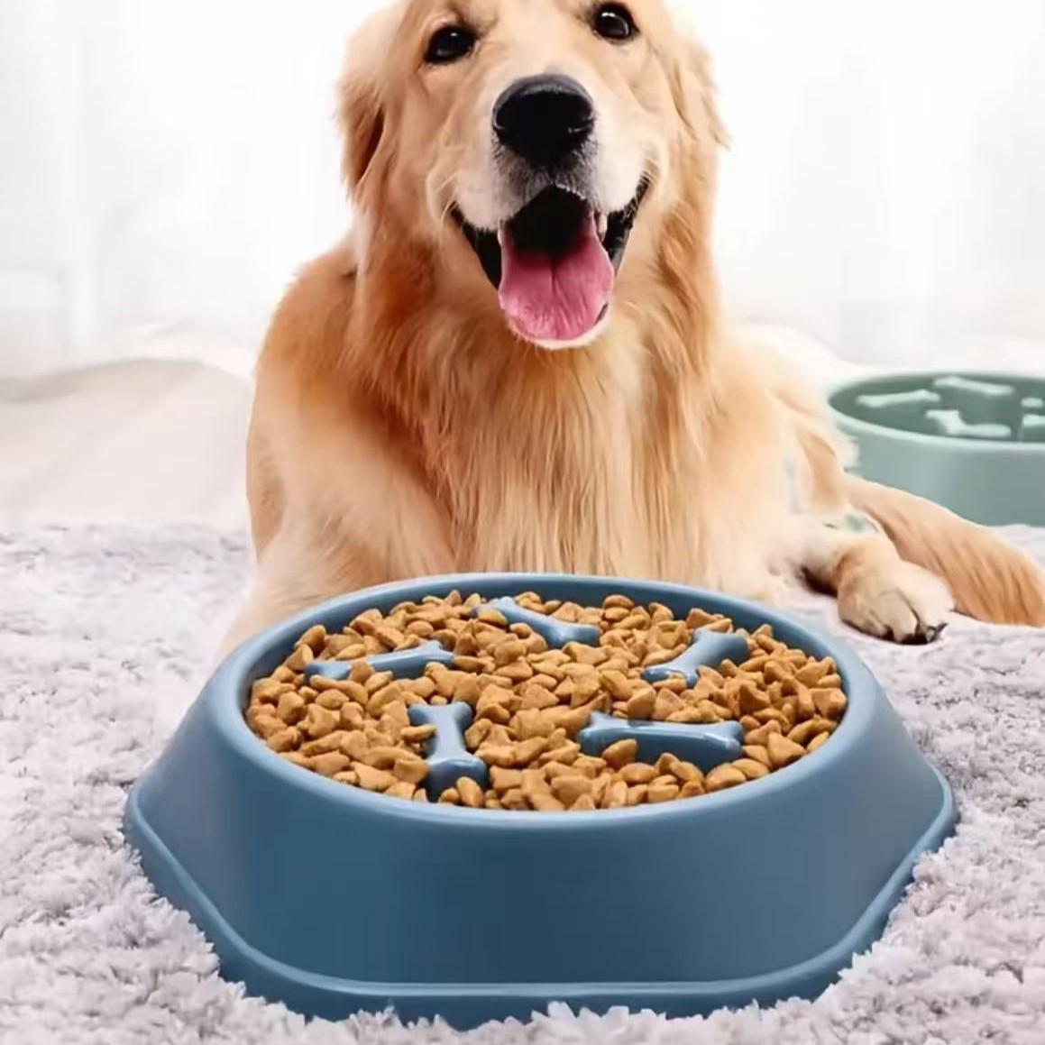 Интерактивная миска для медлен – обзор и цена Slow Feeder Dog Bowl