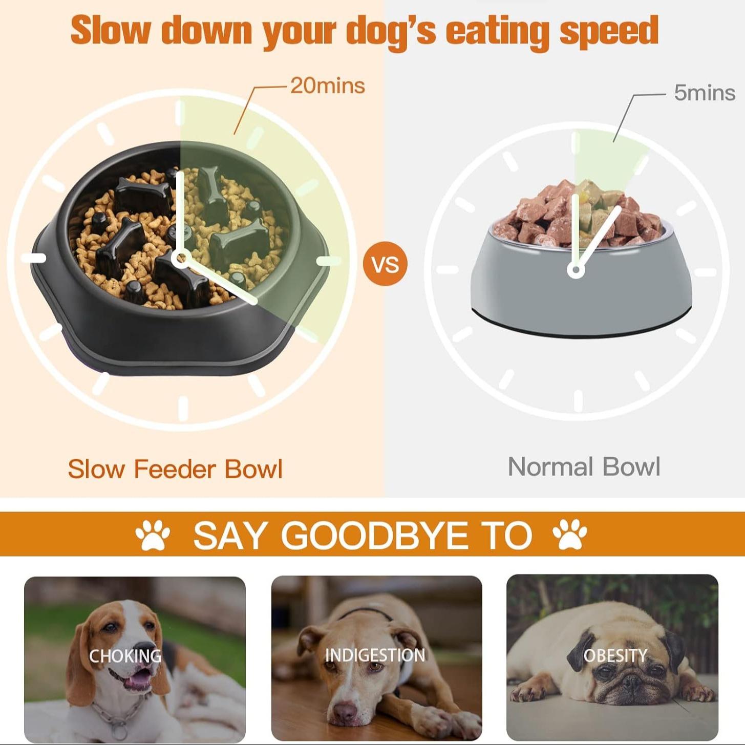 Интерактивная миска для медлен – обзор и цена Slow Feeder Dog Bowl