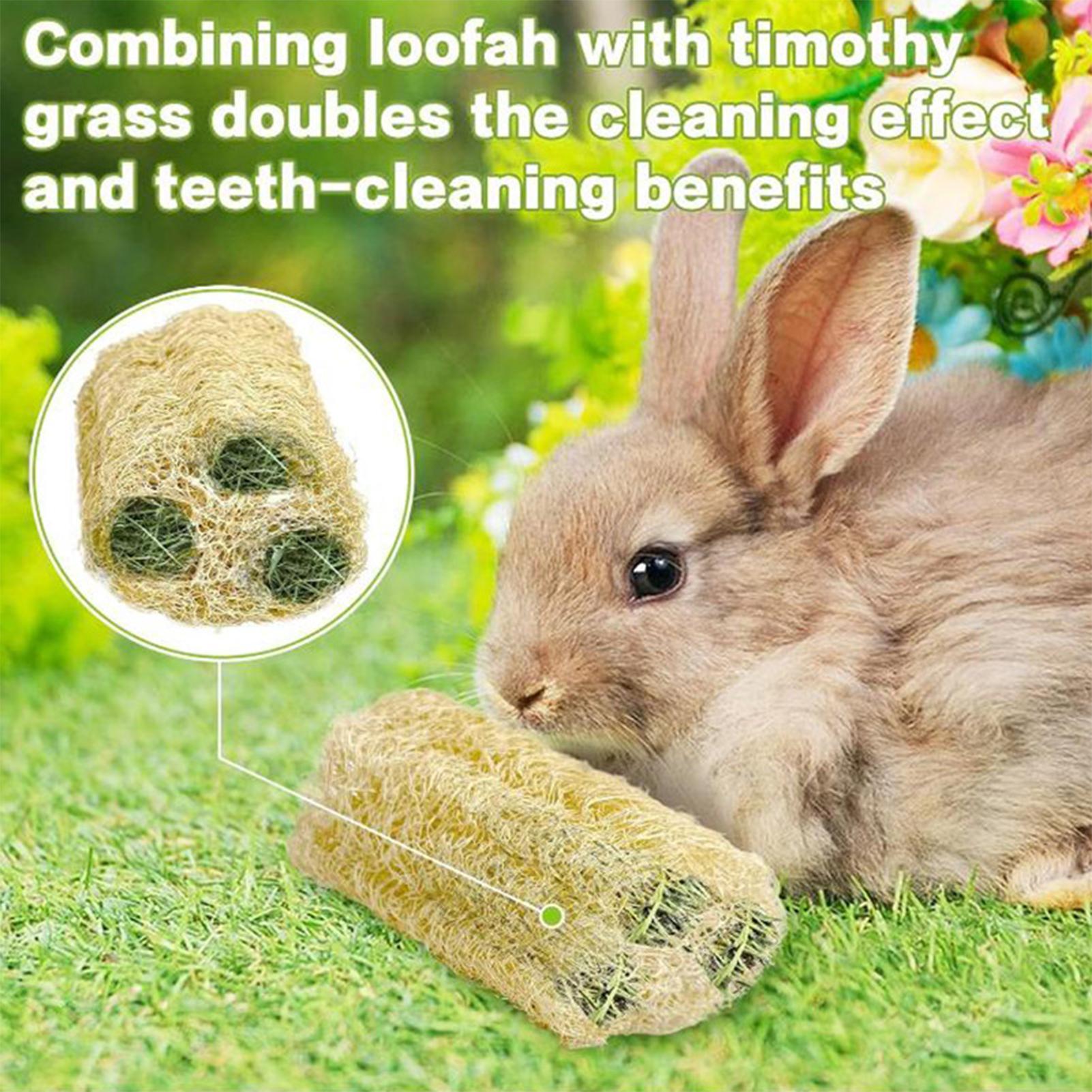 Жевательные игрушки для кролик – обзор и цена Pet Supplies Pet Shop