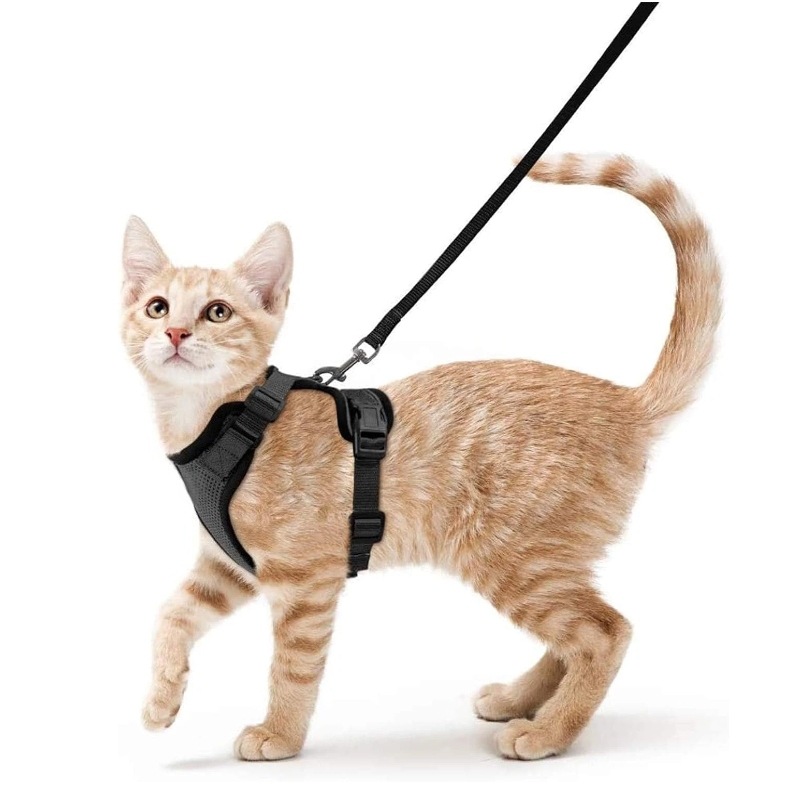 Нагрудный ремень для кошек Ama – обзор и цена Pet Supplies In Amazon