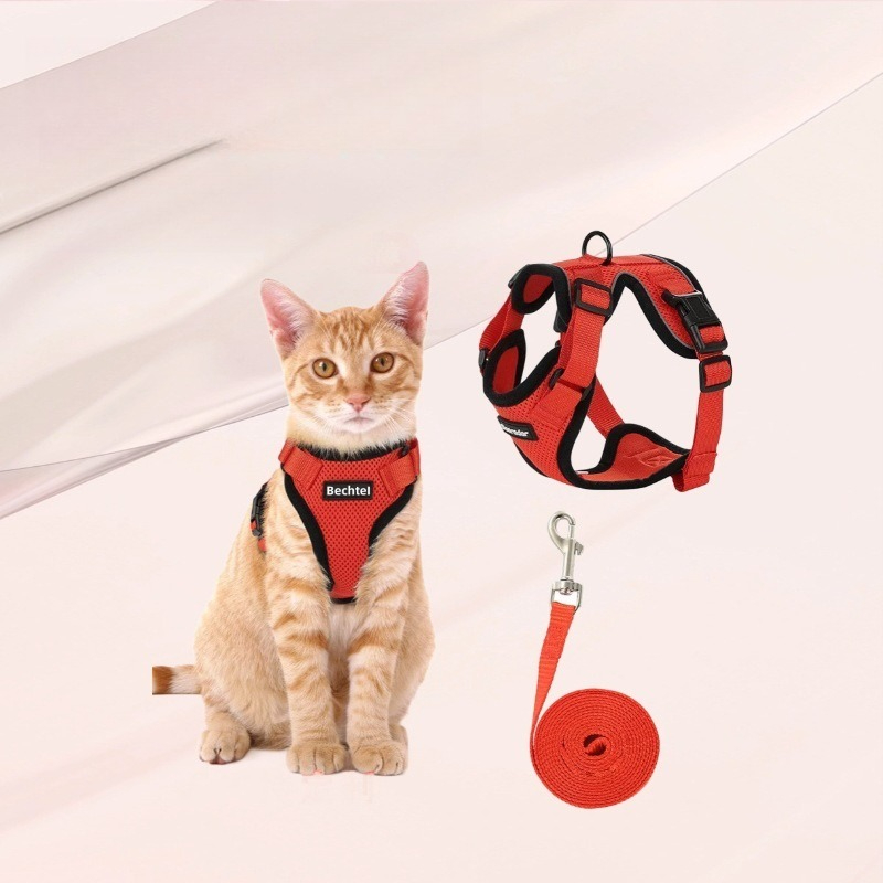Нагрудный ремень для кошек Ama – обзор и цена Pet Supplies In Amazon