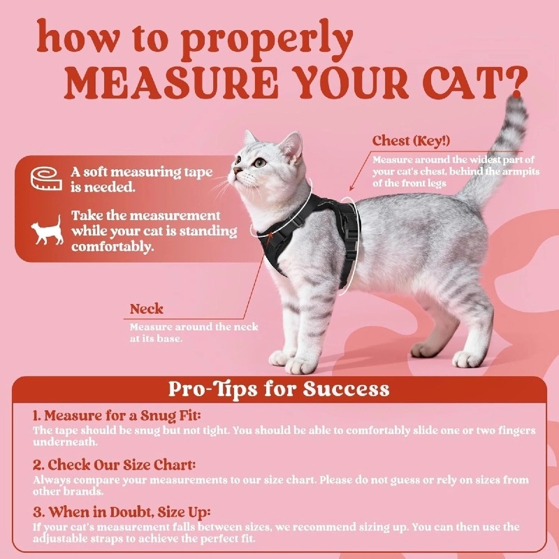 Нагрудный ремень для кошек Ama – обзор и цена Pet Supplies In Amazon