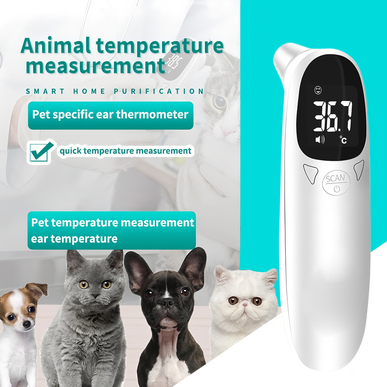 Цифровой термометр для ушей жи – обзор и цена Pet Supplies Nz