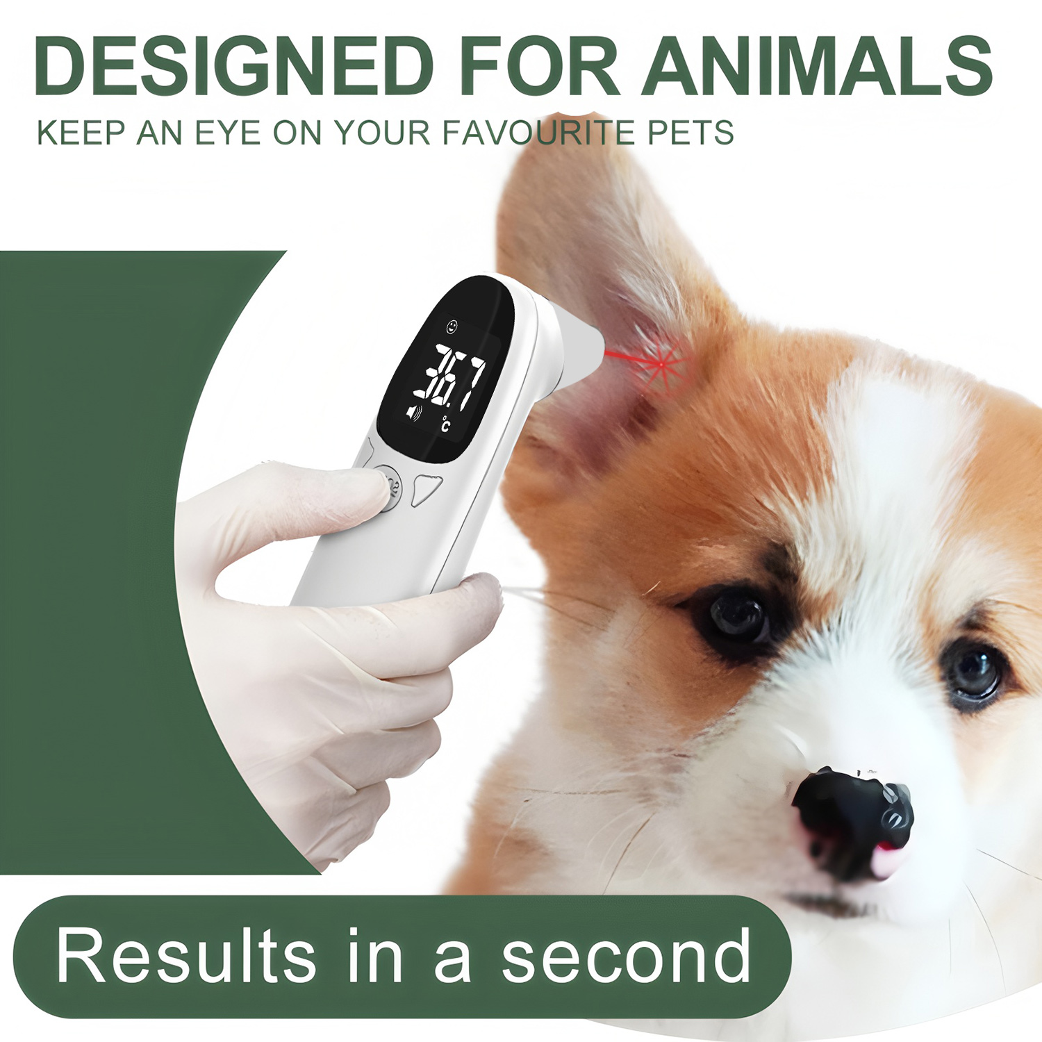 Цифровой термометр для ушей жи – обзор и цена Pet Supplies Nz