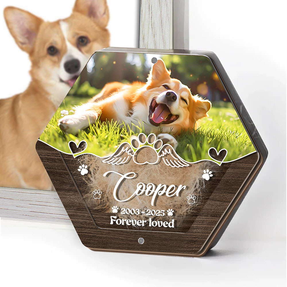 Персонализированное имя, дерев – обзор и цена Pet Supplies Nz