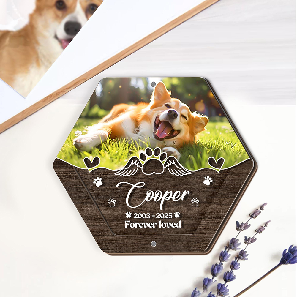 Персонализированное имя, дерев – обзор и цена Pet Supplies Nz