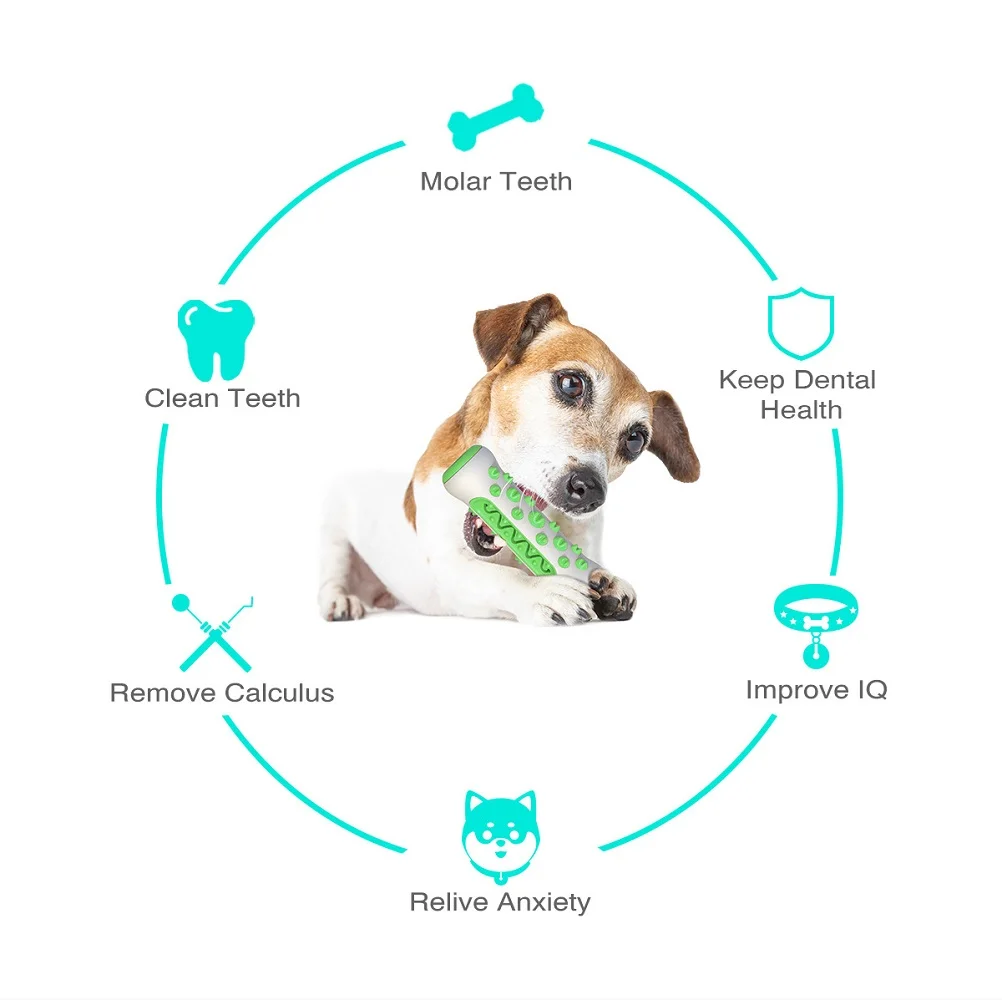 Товары для домашних животных A – обзор и цена Pet Supplies In Amazon
