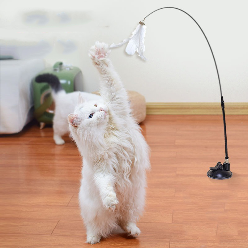 Новая мощная присоска для коше – обзор и цена Pet Supplies In Amazon