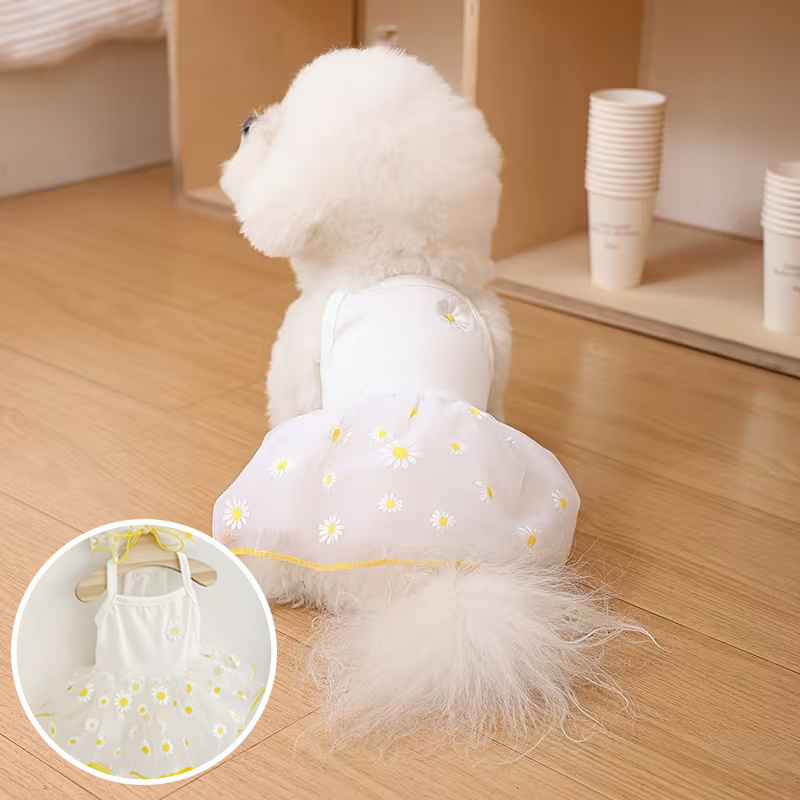 Летнее тонкое платье-юбка для  – обзор и цена Pet Supplies York