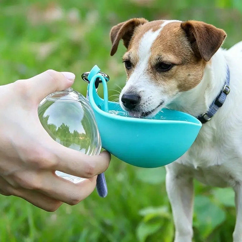 Силиконовая миска для питья дл – обзор и цена Pet Supplies Dog Food