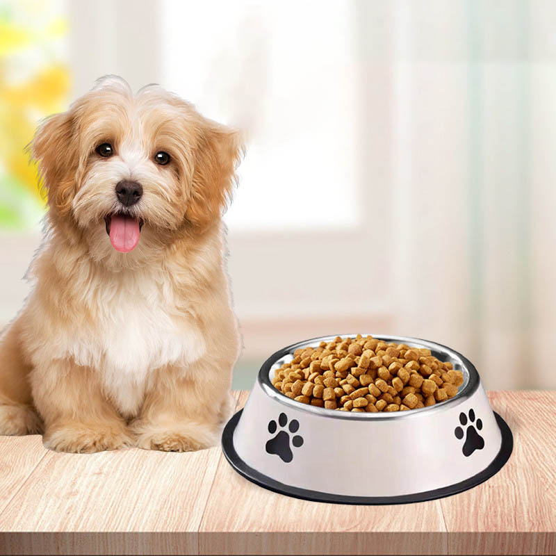 Миска для домашних животных из – обзор и цена Pet Supplies Plus