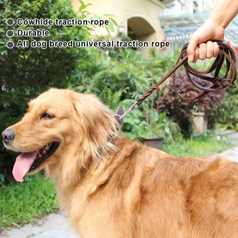 Первый слой поводка из воловье – обзор и цена Pet Supplies First